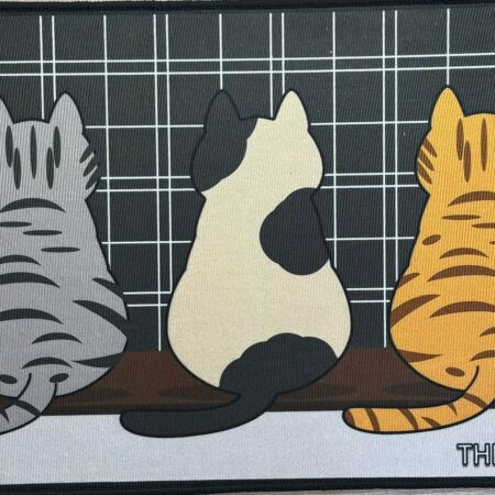 The cat